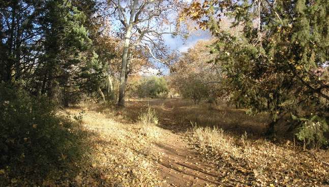 Red Rock Crossing image 06